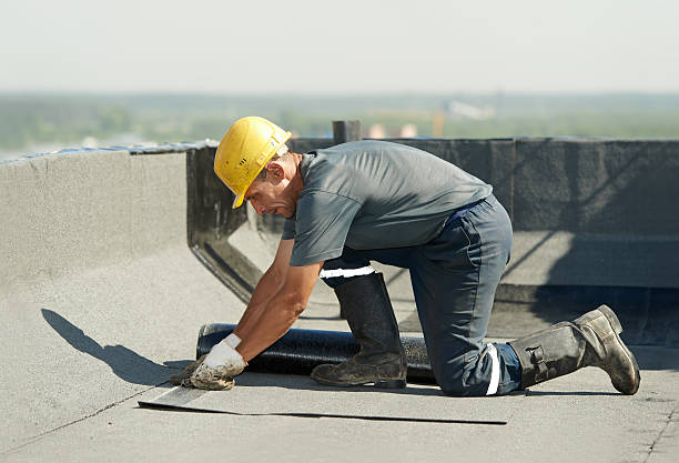 Best Geographic-Specific Insulation Services in Cuero, TX