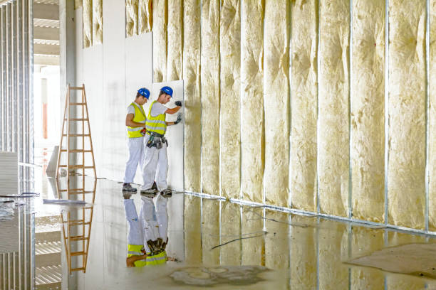 Best Energy Efficiency Insulation in Cuero, TX